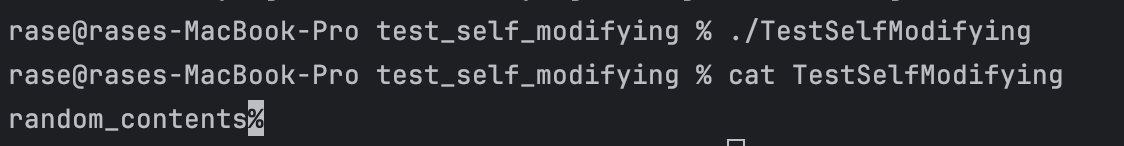 Running binary on Darwin